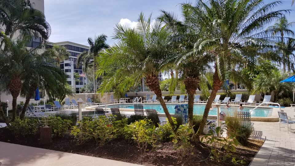 Photo of Lido Towers Pool, Lido Key, Sarasota, FL